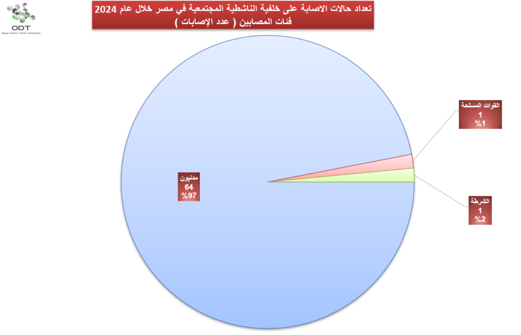 injuries 2024 graphs 04 injuried category